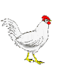 b009.gif